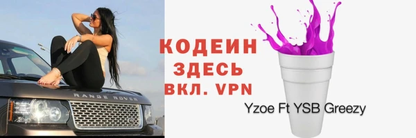 мяу мяу мука Бородино